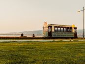 Green and White Train Near the Grass Field
