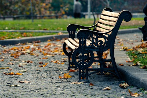 A Close-Up Shot of a Bench on a Park