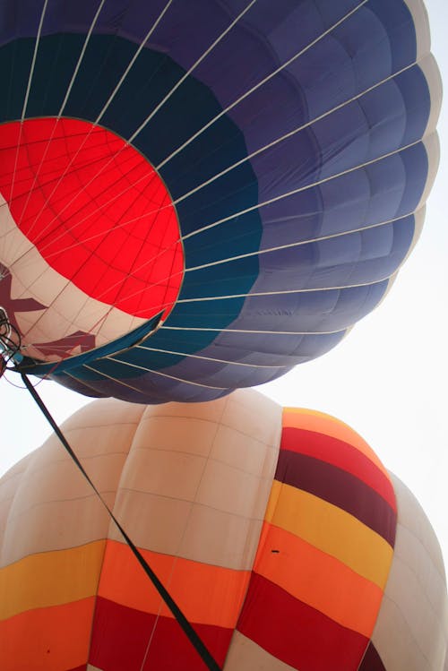 Free Multi Colored Hot Air Balloons Stock Photo