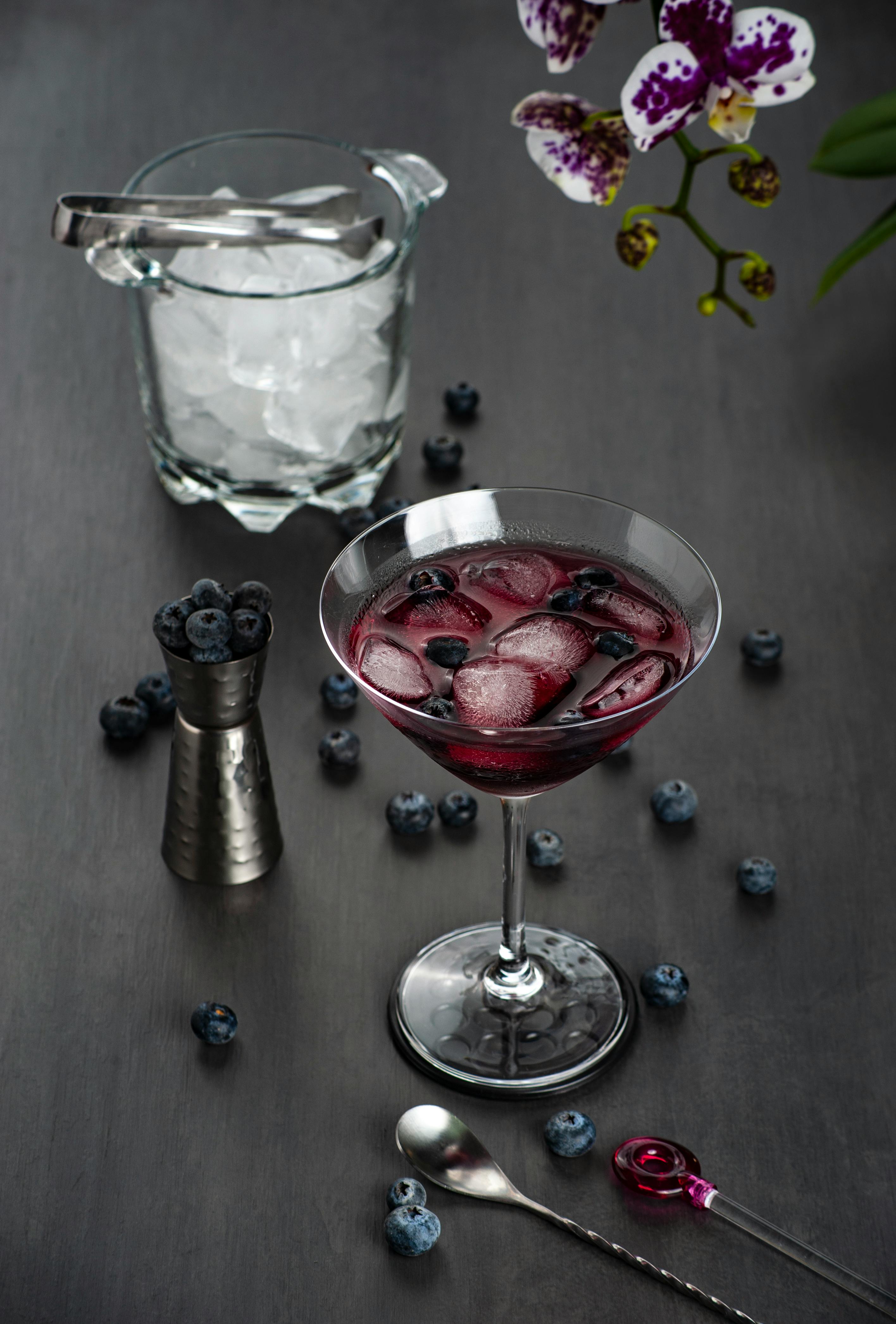Red Wine with Ice and Blueberries · Free Stock Photo