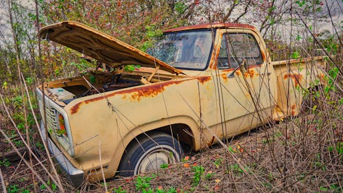 Free stock photo of abandon, abandoned, abandoned truck