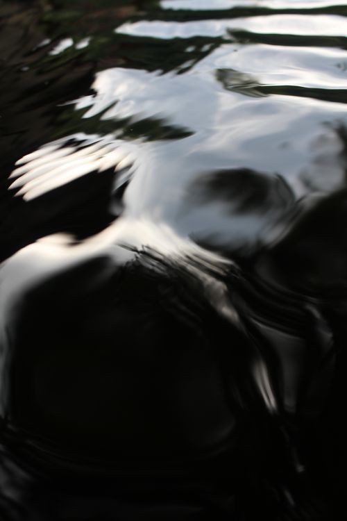 Free stock photo of water Stock Photo