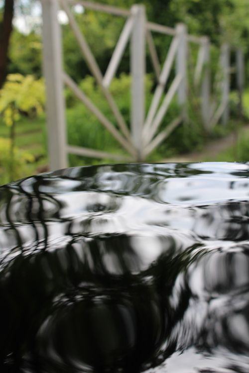 Free stock photo of water Stock Photo