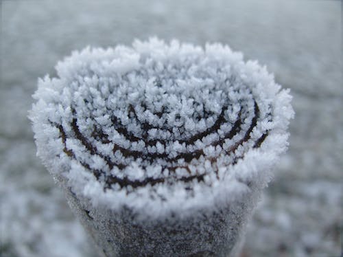 Gratis lagerfoto af forkølelse, frost, is Lagerfoto