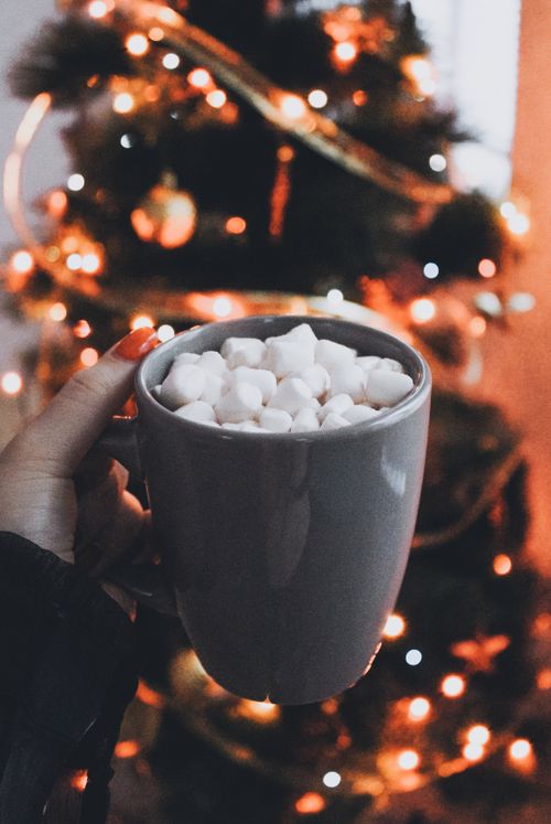 Free Hand holding a mug of hot chocolate with marshmallows in front of a decorated Christmas tree. Stock Photo
