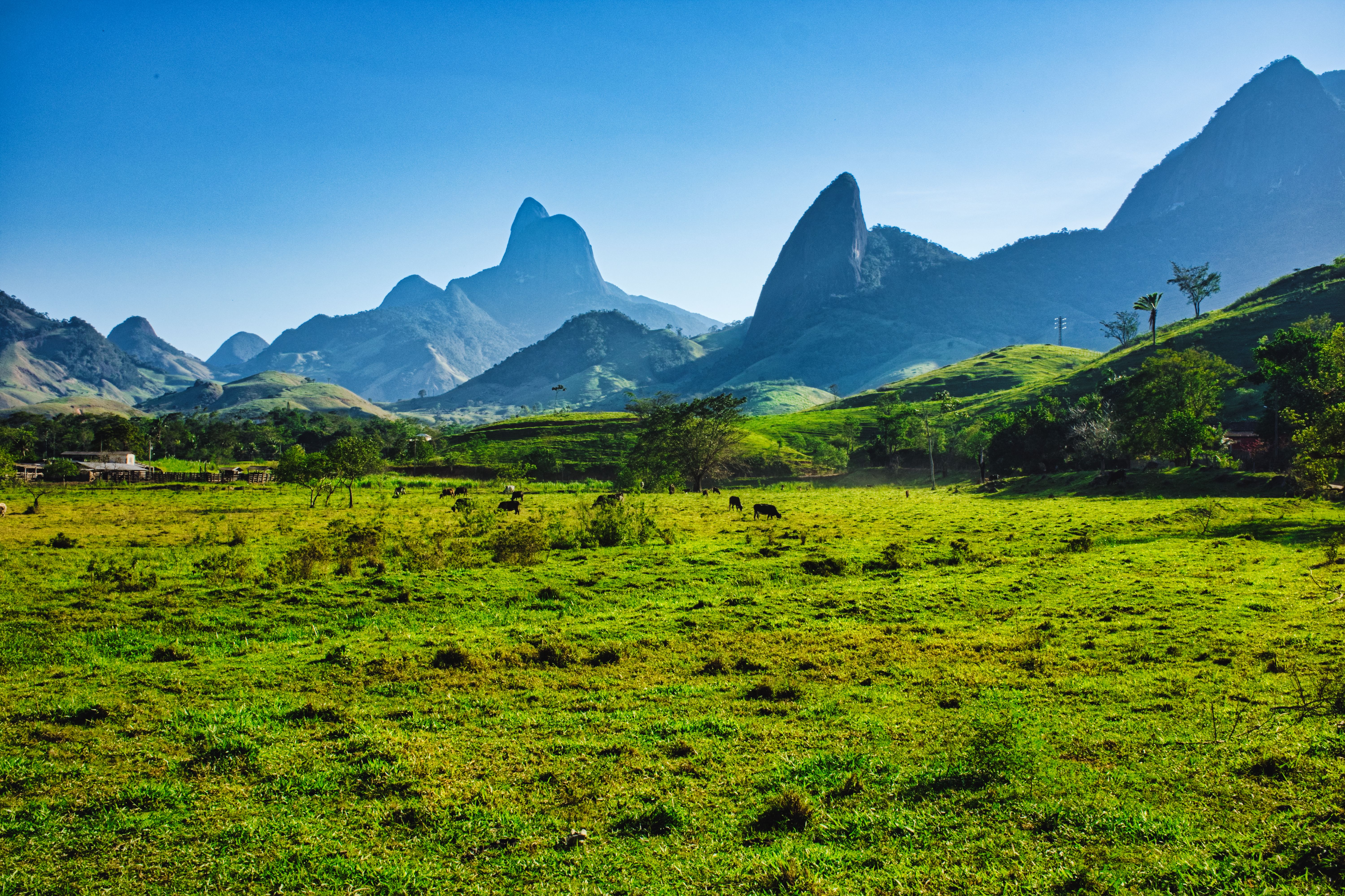Unforgettable 3-Day Manaus Amazon Jungle Adventure Review: Your Ultimate Brazilian Rainforest Experience Review 2026 - Vibrant landscape with green pastures and dramatic mountain peaks on a sunny day.
