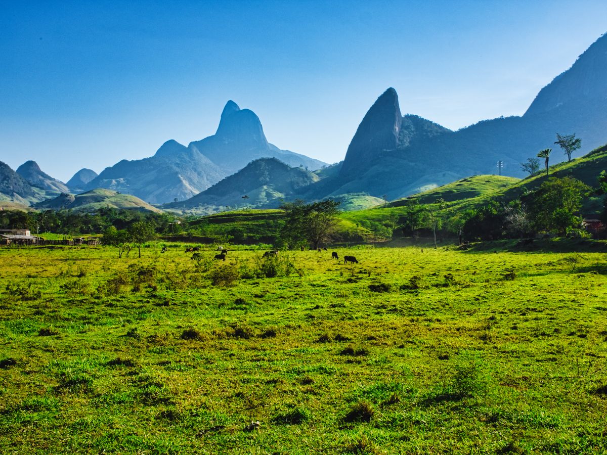 14 Day Burnout Recovery & Energy Retreat with Ayahuasca in Brazil 1