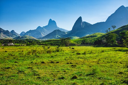 Vibrant landscape with green pastures and dramatic mountain peaks on a sunny day.