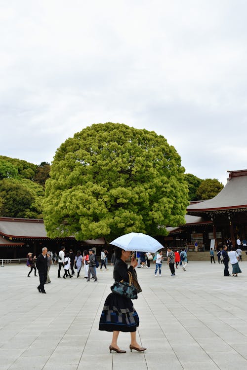 Бесплатное стоковое фото с shibuya, архитектура, вертикальный выстрел