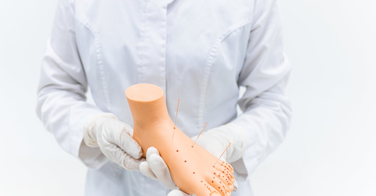 Guide pratique pour débuter en médecine traditionnelle