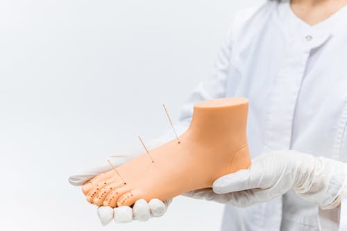 A Person Holding a Foot Acupuncture Model