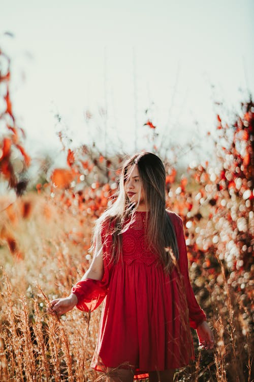 Free Young woman in stylish bright red dress walking in field Stock Photo