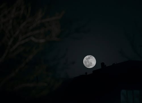 Free Full Moon in Dark Night Sky Stock Photo