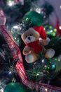 Close Up Photo of Teddy Bear on Christmas Tree