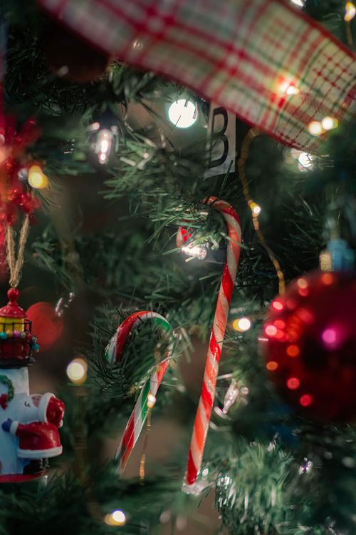 Free stock photo of christmas, christmas atmosphere, christmas ball Stock Photo
