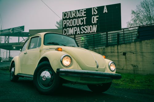 A Volkswagen Beetle Parked on an Asphalt Road