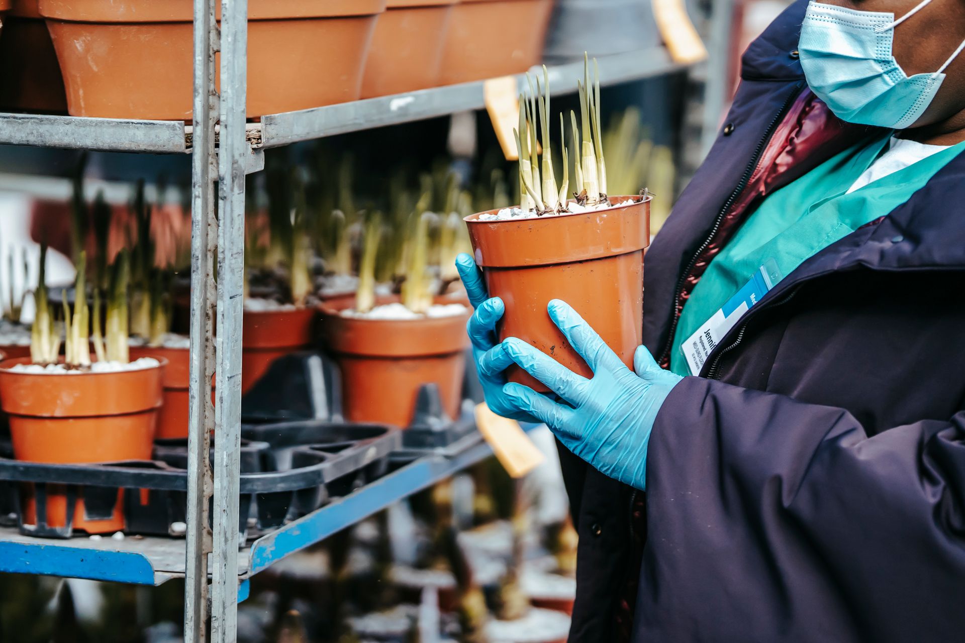 Crop anonymous African American female nurse in medical clothes with mask and gloves selecting potted plants while standing in market in daylight