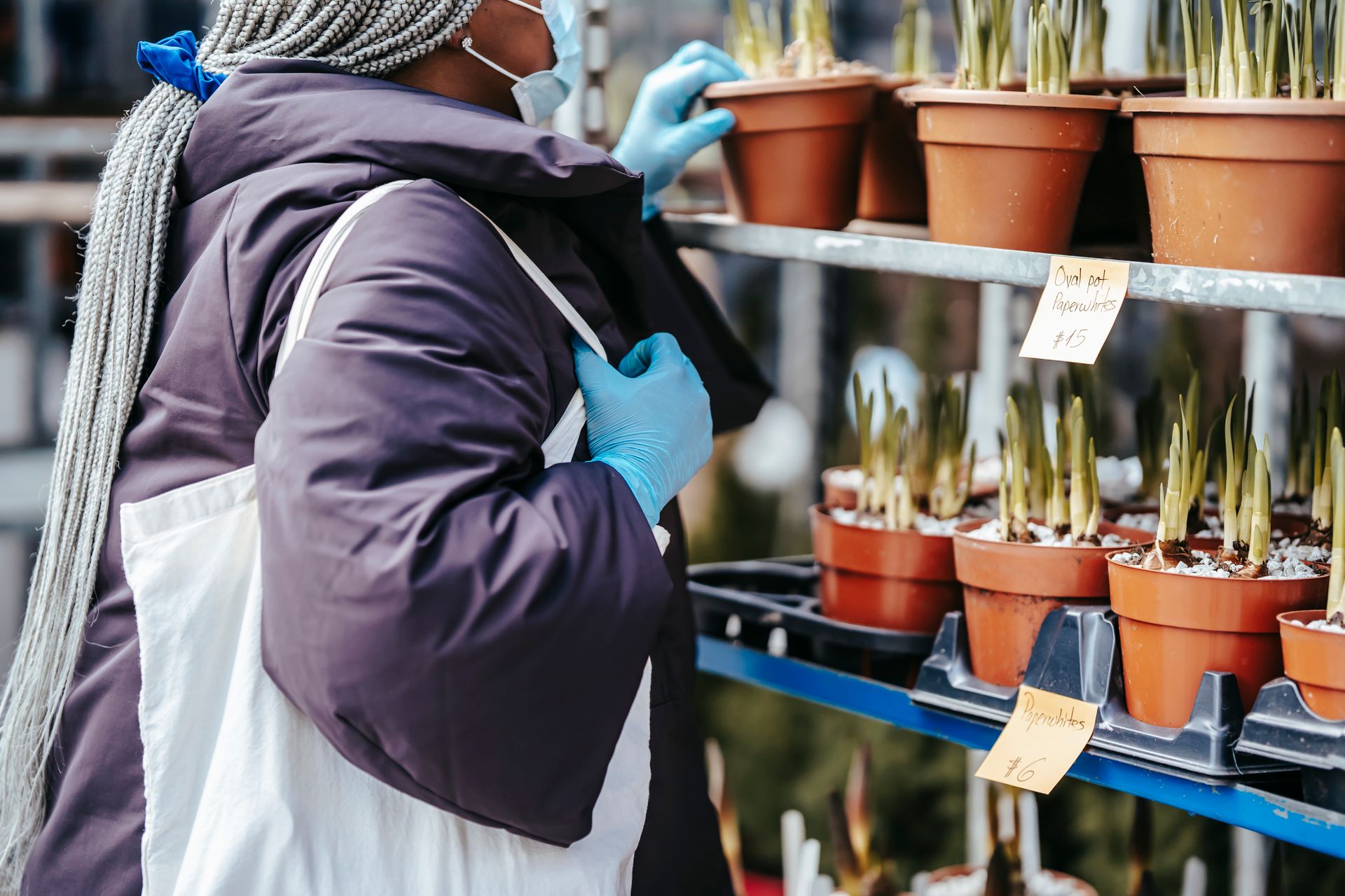 Side view of faceless adult African American female in warm outfit with mask and gloves selecting potted plant while standing in market