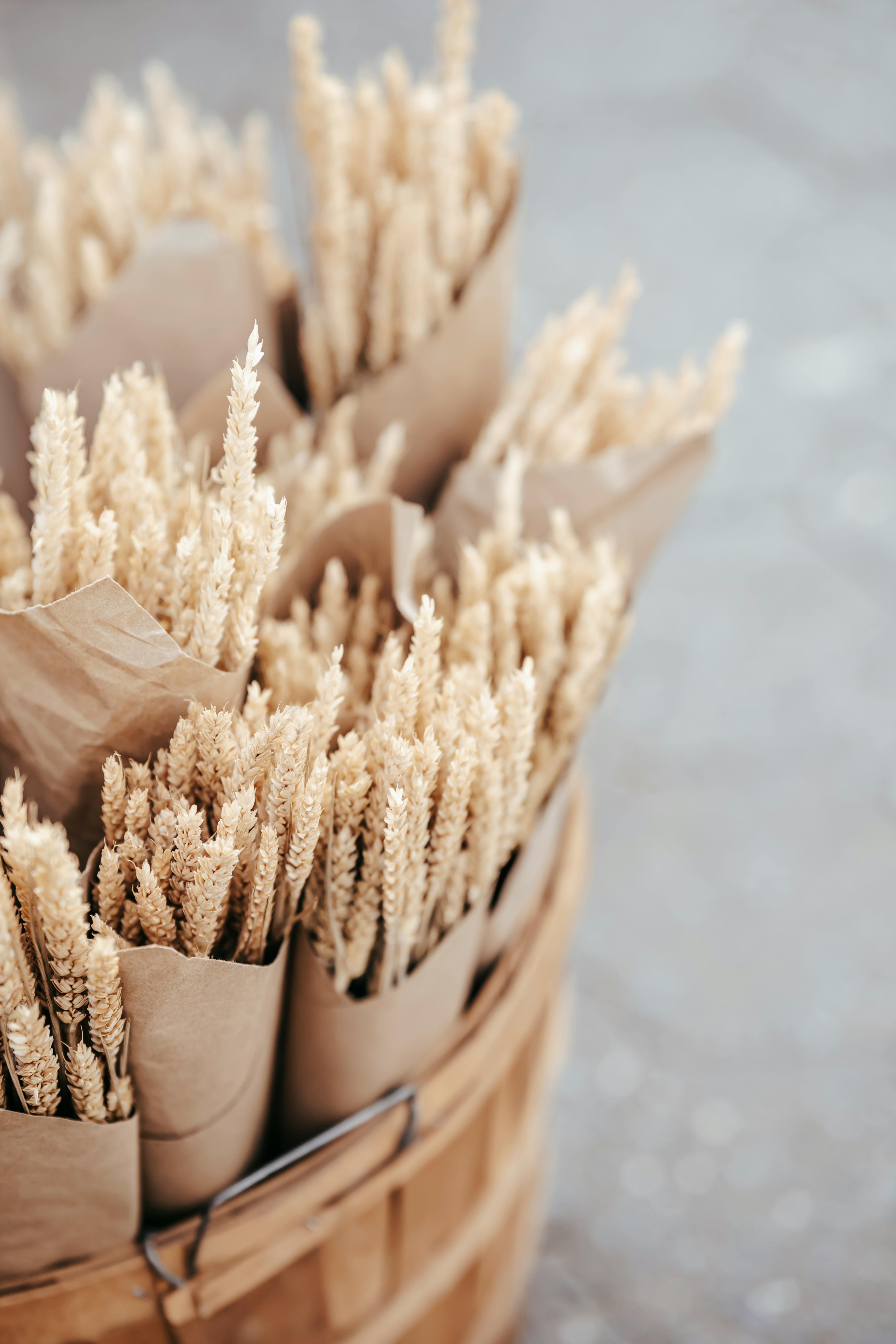 bouquet of dried wheat sprigs in bucket on road