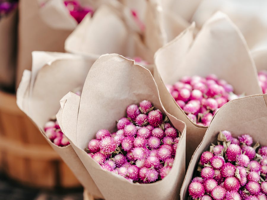 How can I grow my marketing career?