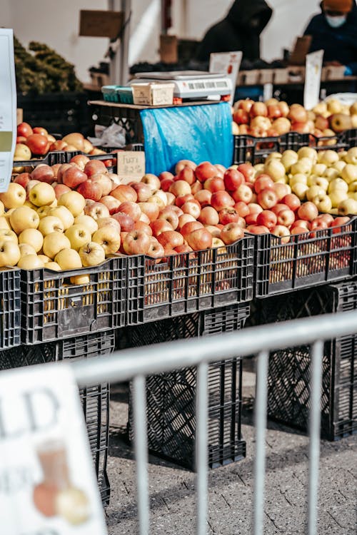 Free Plastic containers full of ripe fresh apples placed in rows at counter of street market Stock Photo