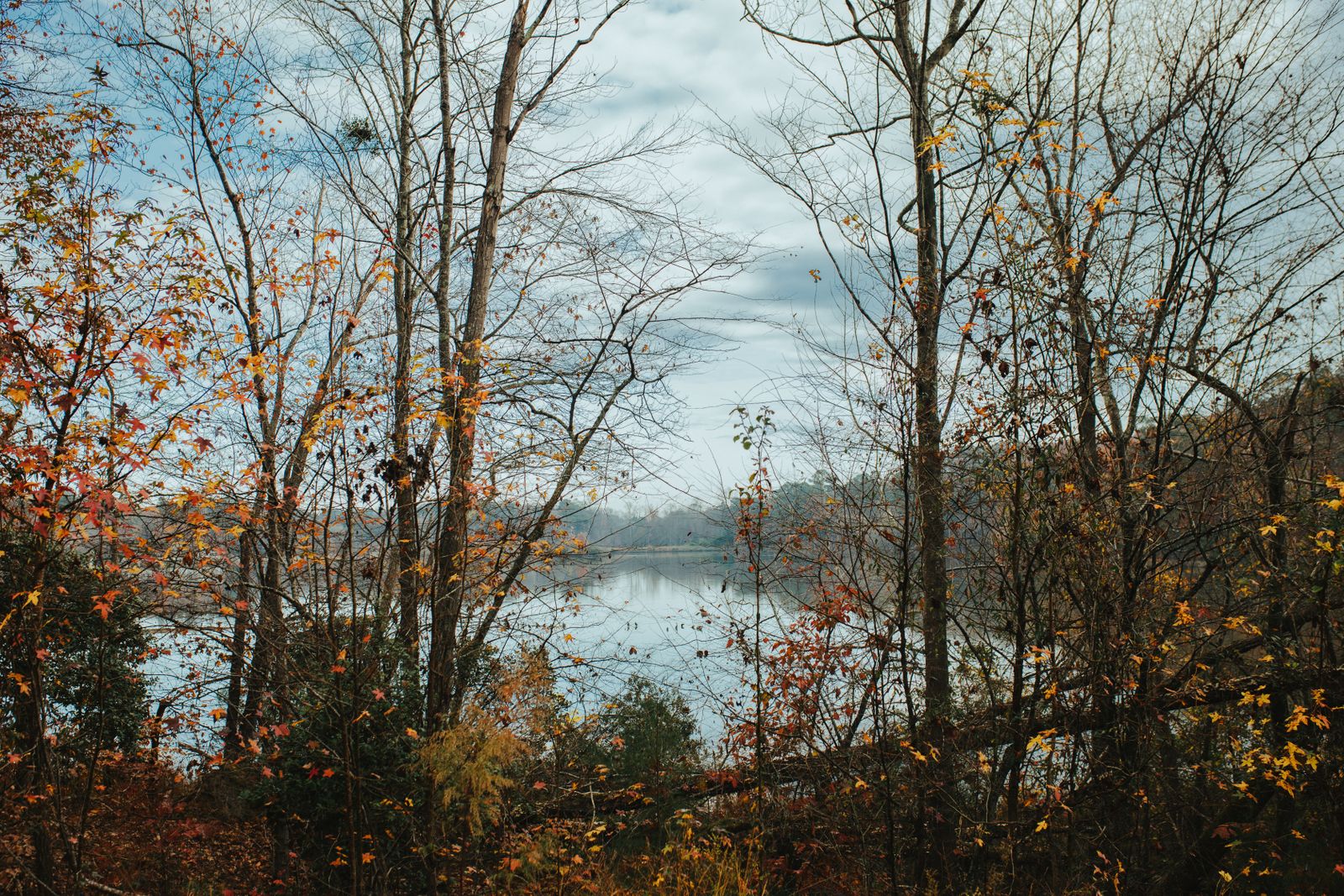 Smith Mountain Lake