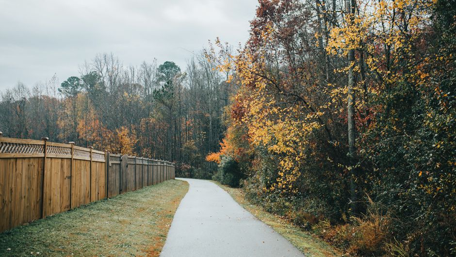 A tranquil autumn pathway in Virginia, featuring vibrant foliage and a wooden fence, showcasing the season's beauty.