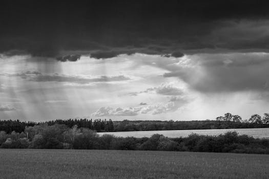 Monochrome landscape capturing a dramatic stormy sky over a field and forest.
