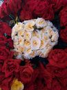 White Flower Bouquet on Red Textile