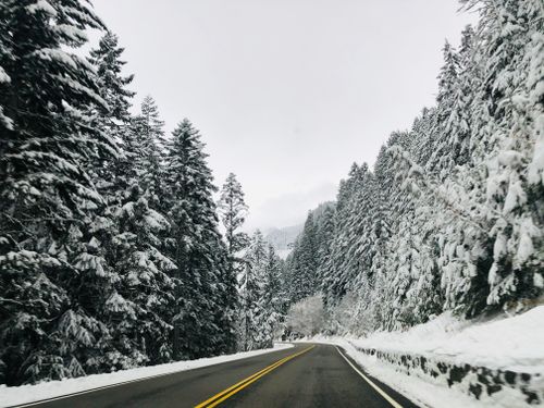Free Captivating view of a winding road through a snow-covered forest, ideal for winter travel themes. Stock Photo