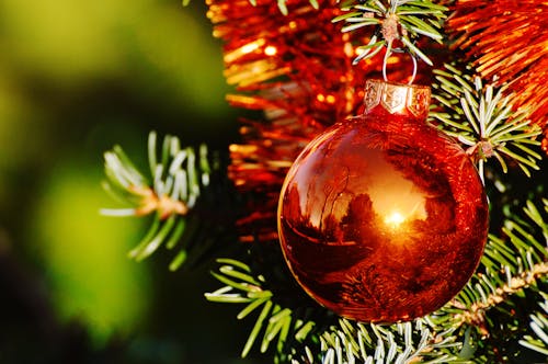 Macro Shot of a Red Christmas Ball Hanging