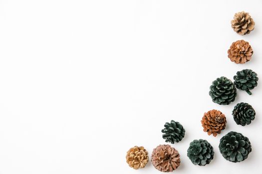 Assorted coniferous tree cones on white background