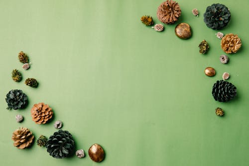Pine Cones and Pebbles on Green Background