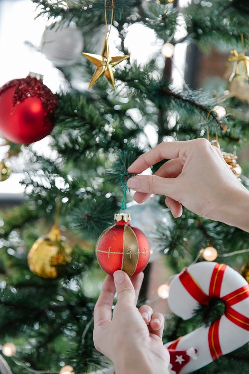Free Crop unrecognizable female putting bright decorative ball on branch of spruce tree during New Year holiday in house Stock Photo