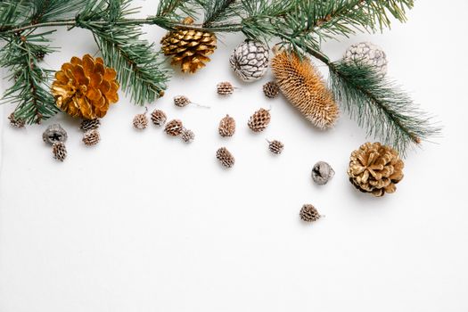 Spruce tree branch near cones on white background