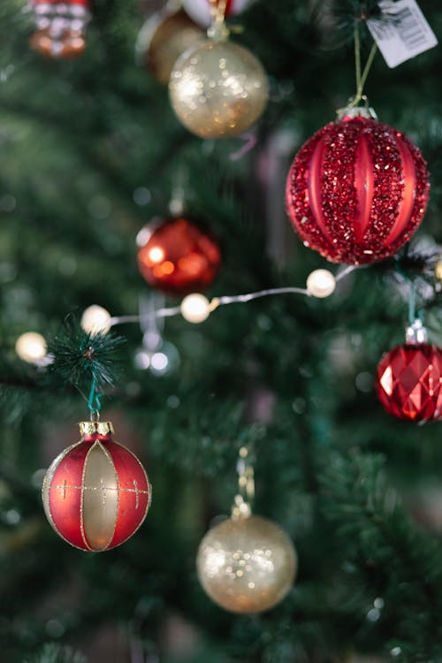 Green branches of coniferous tree decorated with red and golden Christmas balls with glowing garland on blurred background during holiday