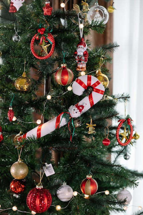 Free зеленая новогодняя елка с золотыми шарами и красно белой полосатой конфетой Stock Photo