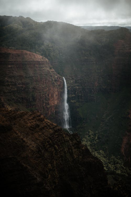 Waterfalls in the Middle of the Forest