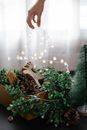 Crop unrecognizable person putting glowing garland on Christmas composition with wooden reindeer and decorative plants in light room