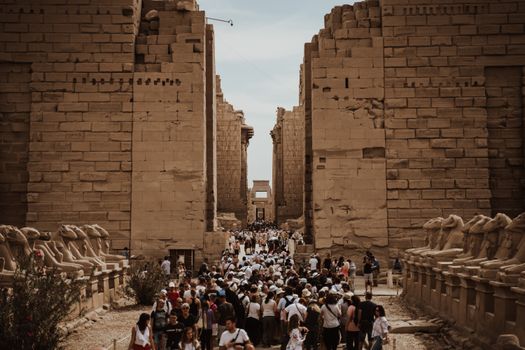 Karnak Temple with Egyptologist — Luxor