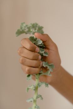Hand holding a green plant stem against a neutral background. Natural and minimalist concept.
