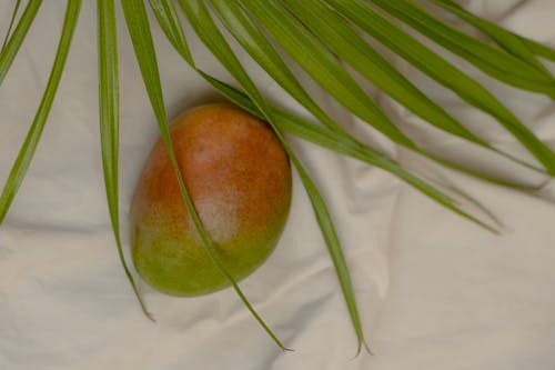 
A Close-Up Shot of a Mango and Palm Leaves