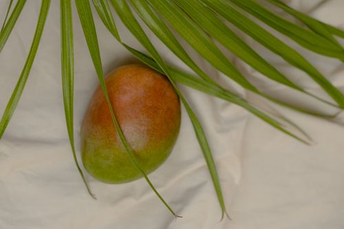 Free Close-up of a ripe mango and green palm leaves on a light background, highlighting freshness. Stock Photo
