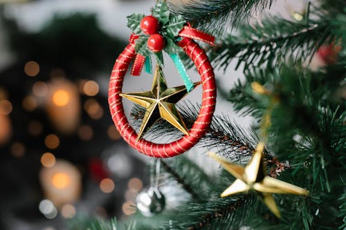 Christmas decoration in form of stars hanging on green fir three against blurred background with light of garland