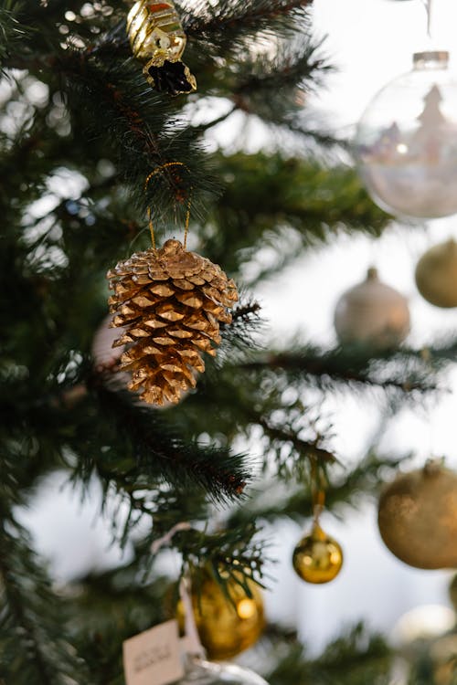 Green branches of Christmas tree with decorative toys of colorful baubles and cones