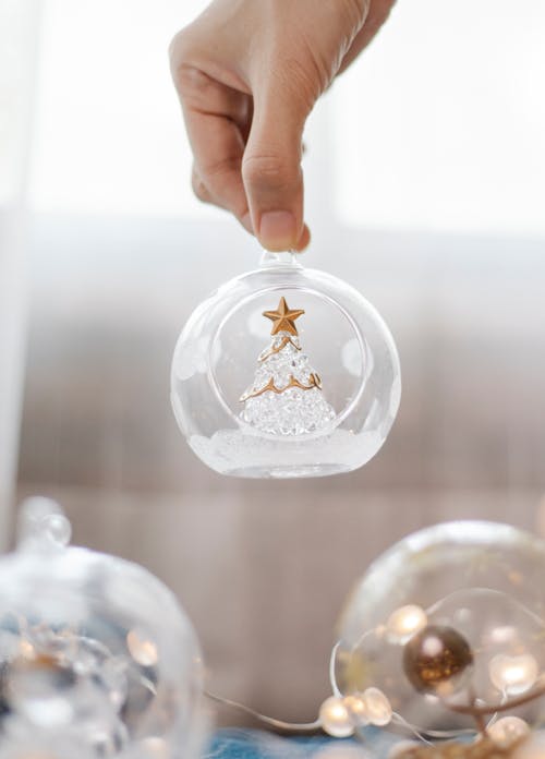 Person showing glass ball with tree