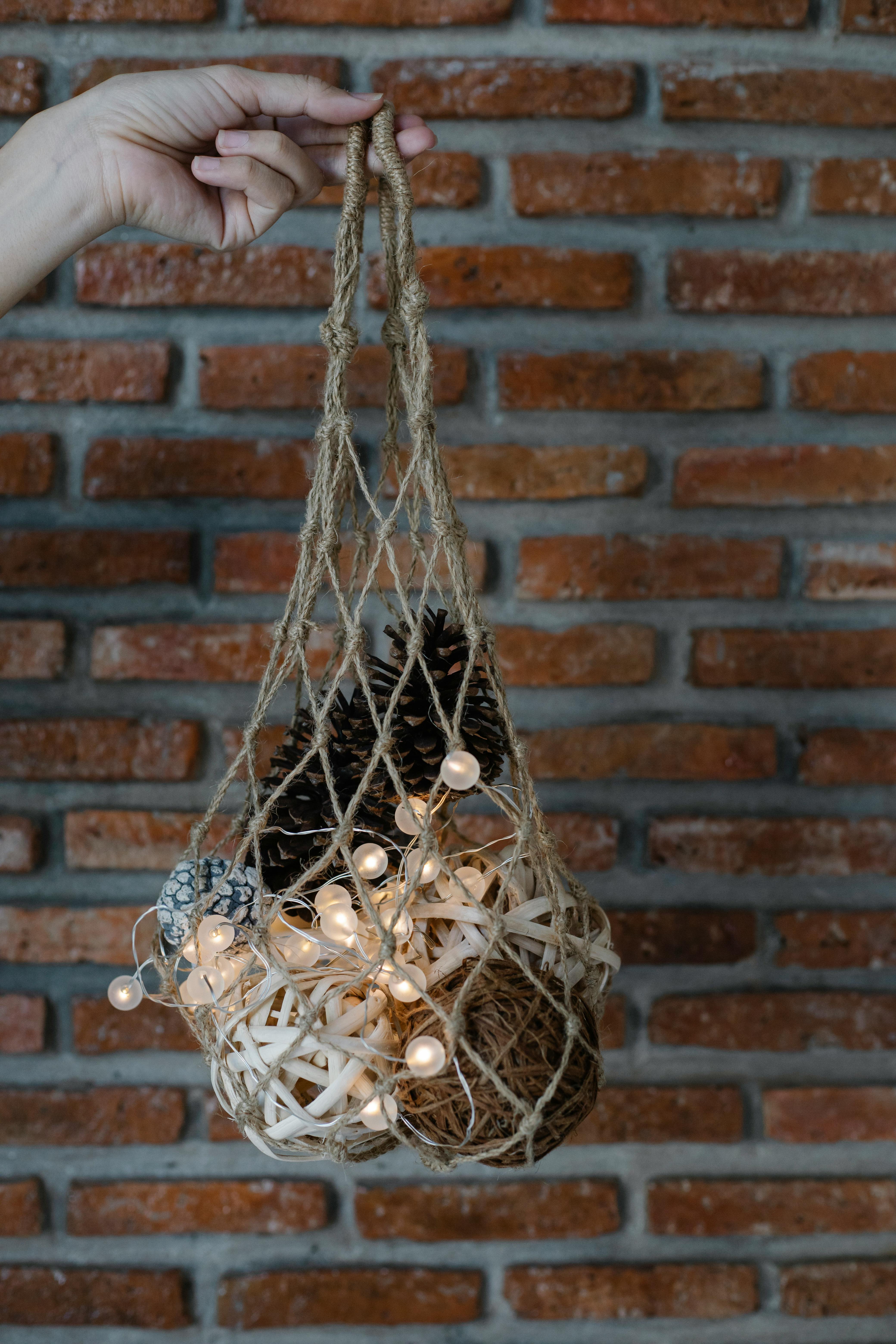 Photo by Laura James