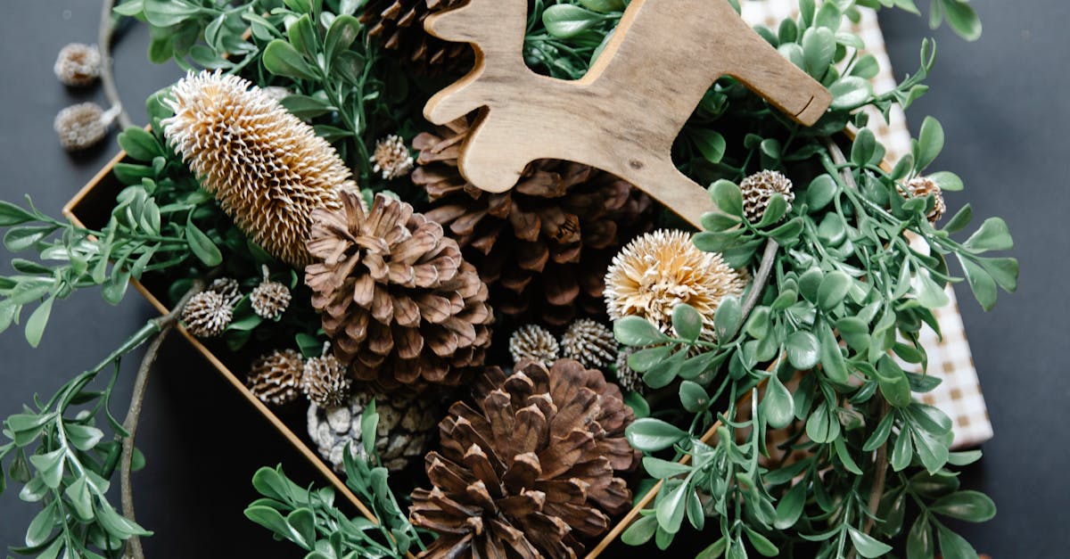 Decorative objects with bumps and twigs on surface · Free Stock Photo