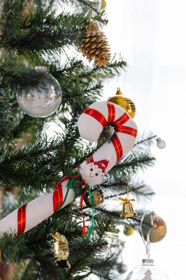 Fir tree with baubles and decorative Christmas candy with striped ornament during festive event