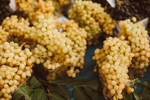 A Close-Up Shot of Yellow Grapes in Containers